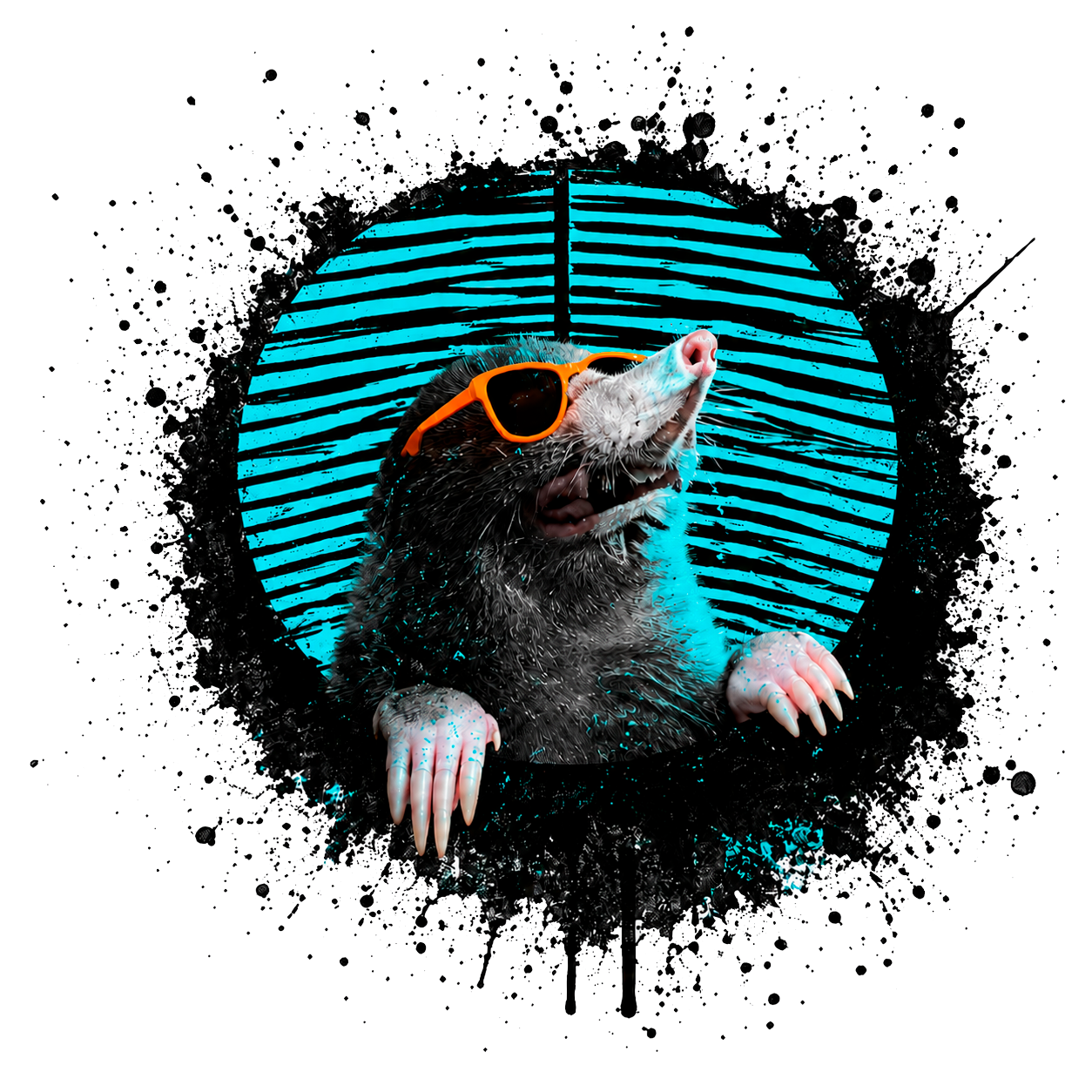 toupeira