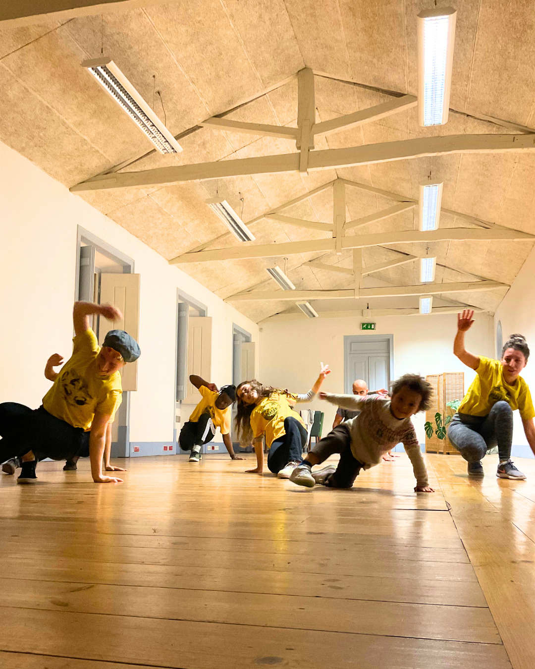 Aula Aberta de Capoeira
